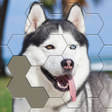 Icon of program: Jigsaw Hexa Block