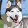 Ikon program: Jigsaw Hexa Block