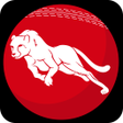 プログラムのアイコン：Wolf777 Cricket Live Line