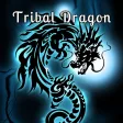 Tribal Dragon Theme HOME