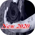 Black Rose Wallpaper 2020