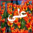 プログラムのアイコン：صور علي