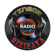 Ikon program: TINGOG BINISAYA RADIO