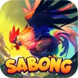 プログラムのアイコン：PakPakGo ESabong JILI Sab…