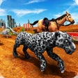 أيقونة البرنامج: Crazy Wild Black Panther …
