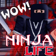 Icon of program: Be A Ninja