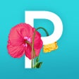 Icon of program: Picolla - Be Bohemian