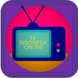 Ikon program: Tv Indonesia Plus