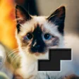 程序图标：Block Square Jigsaw Puzzl…
