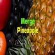 Icoon van programma: Merge Pineapple