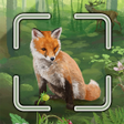程序图标：Forest Shuffle Smart Coun…