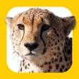 أيقونة البرنامج: Encyclopedia : 25000 topi…