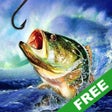 프로그램 아이콘: Fishing Champion Lite