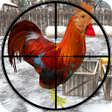 أيقونة البرنامج: Chicken Shooter game of C…