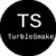 プログラムのアイコン：TurboSnake