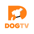 プログラムのアイコン：DOGTV