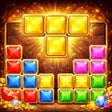 أيقونة البرنامج: Block Puzzle Level