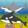 程序图标：Killer Whale Shark Attack