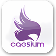 Symbol des Programms: Caesium Portable