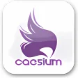 Caesium Portable