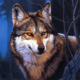 プログラムのアイコン：Wolf Jigsaw Puzzles
