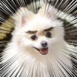 Icon of program: じわる写真