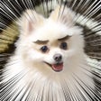 أيقونة البرنامج: じわる写真