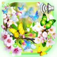 Ikona programu: Spring Mood Live Wallpape…