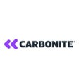 ไอคอนของโปรแกรม: Carbonite Server Backup
