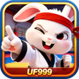 Ikon program: UF999Dream Stack