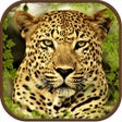 ไอคอนของโปรแกรม: Extreme Wild Savanna Simu…