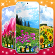 Icona del programma: Flowers Live Wallpaper