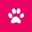 Icono de programa: Cougar Life: Cougar Datin…