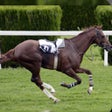Ikon program: Derby Quest: Horse Manage…