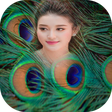 Icon of program: Peacock Feathers Photo Fr…