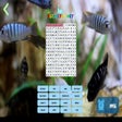 程序图标：The Puzzle Factory