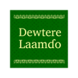 Иконка программы: Dewtere Laamdo