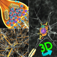 3D Biology icon
