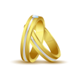 程序图标：Basic Marriage Biodata Ma…