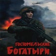 Icon of program: Ukrainian Warfare: Gostom…