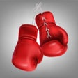 أيقونة البرنامج: Boxing Superstar