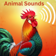 程序图标:Animals: Ringtones - Soun…