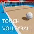 Icon of program: Touch Volleyball