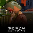 Icoon van programma: Name of the Will