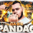 Extensão do PANDÃO icon