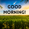 程序图标：Good Morning Greeting Car…