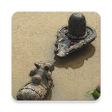 Icon of program: Lingashtakam
