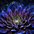 プログラムのアイコン：Neon Flowers Live Wallpap…