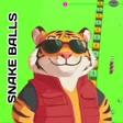 Tiger Bola Ular icon