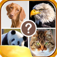 프로그램 아이콘: Kubet - Animel Guess ku a…